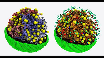 Decoding Bio Science - The Power of Computer Simulations (3 Minutes)