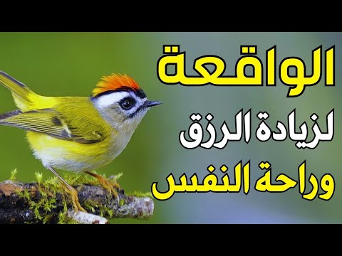 سورة الواقعة لجلب الرزق وراحة القلب كالمطر بصوت رائع   