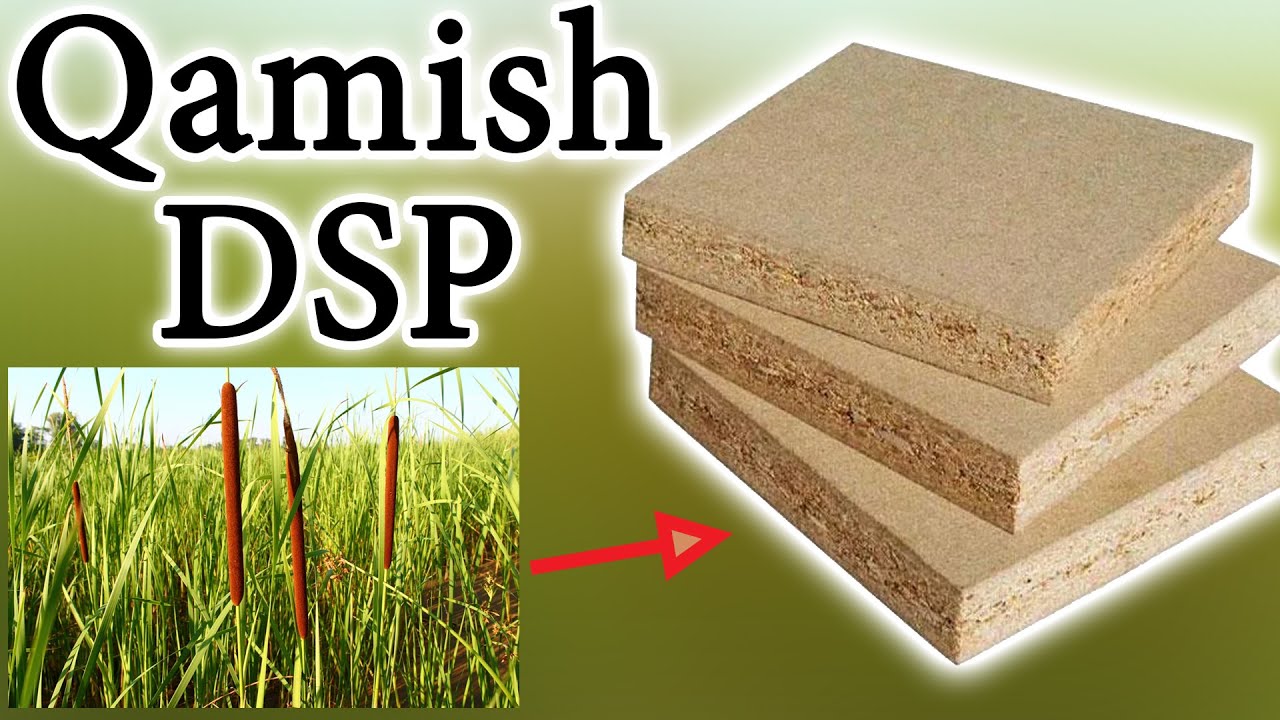 Oddiy qamishdan tayyorlangan DSP mahsuloti Surxondaryoda