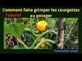 TUTO : COURGETTES TUTEURS AU JARDIN POTAGER PERMACULTURE