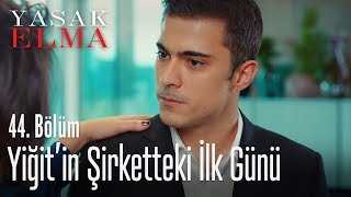 Yiğit, şirkette yerini sağlamlaştırıyor - Yasak Elma 44. Bölüm