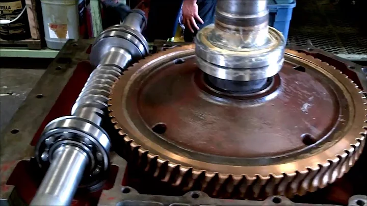 Radicon BV 20" Worm Reducer