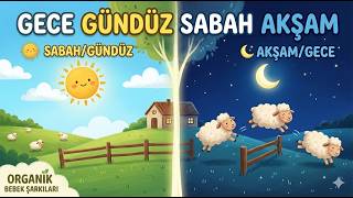 Gece Gündüz, Sabah Akşam Çocuk Şarkısı ☀️🌙 Organik Bebek Şarkıları 🎵