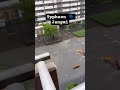 Typhoon 🌀 Jagmin effect in Tokyo #japan #jangmi