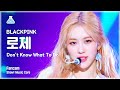 [예능연구소 직캠] BLACKPINK - Don't Know What To Do (ROSÉ), 블랙핑크 (로제) @Show! Music Core 20190406