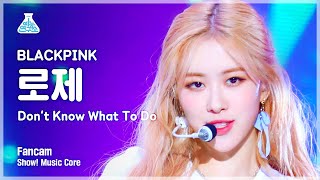 [예능연구소 직캠] BLACKPINK - Don't Know What To Do (ROSÉ), 블랙핑크 (로제) @Show! Music Core 20190406