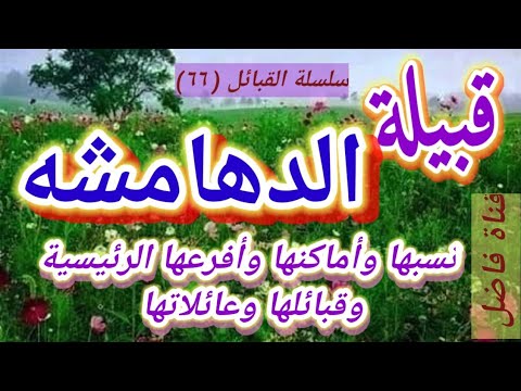 قبيلة الدهامشه نسبها وأماكنها وأفرعها الرئيسية وقبائلها وعائلاتها