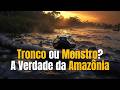 A serpente de 12 metros que a ciência insiste em esconder na Amazônia