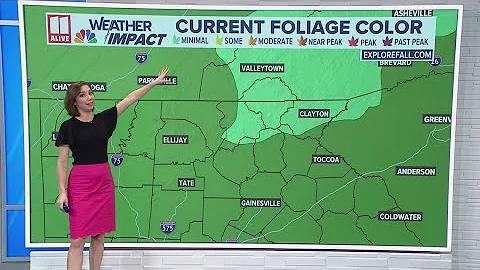 First signs of Fall pop up across north Georgia