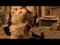 THE ADVENTURES OF GREYFRIARS BOBBY - UK trailer