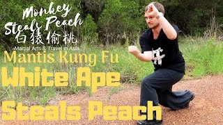Classic Praying Mantis Kung Fu Form - Monkey Steals Peach White Ape Steals Peach