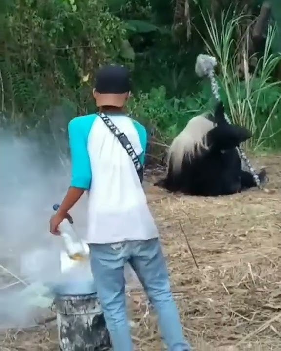 Ternyata Begini Proses Syuting Nenek Lampir Guys