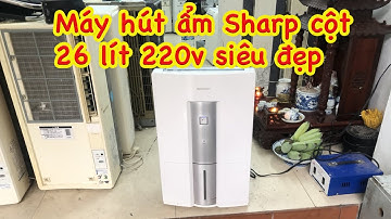 Máy hút ẩm Sharp cột 26 lít Nhật Bản điện 220v hàng tuyển