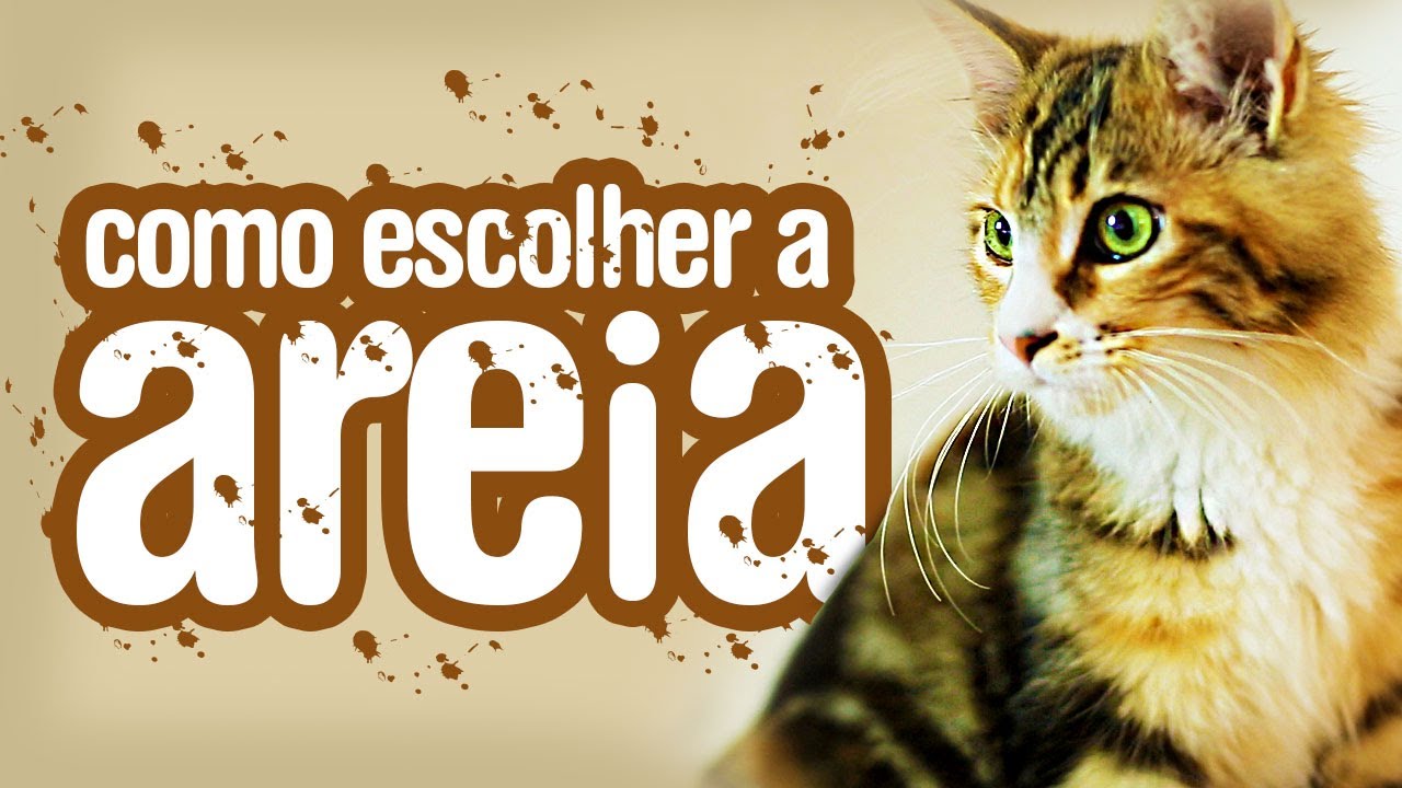 farinha de mandioca crua para gatos farinha de mandioca crua para gatos