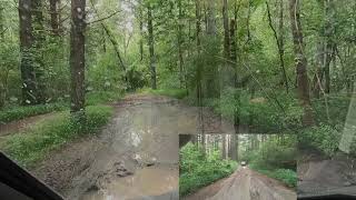 Interlake SRA Trails 1 & 5