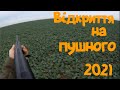 Полювання на зайця 2021. Відкриття.