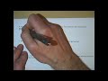 Kinetic and Potential Energy Quiz