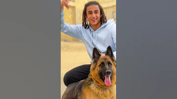 مين اقوي جرمن ولا روت 