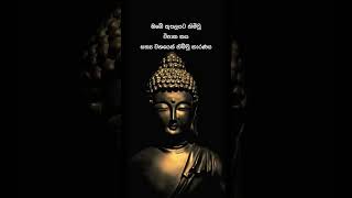 niwana මම නිවන්දකිනප්‍රතිපදාව නිවන budu_bana අවිද්යාව spiritual විපාකය shorts