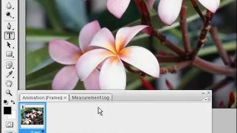 Basic Animation in Adobe Photoshop CS3