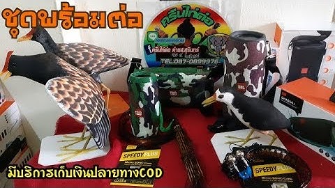 ชุดต่อนกอีลุ้ม นกไก่นา นกเป็ดแล้วจร้า....มีบริการเก็บปลายทางครับ#0990610057