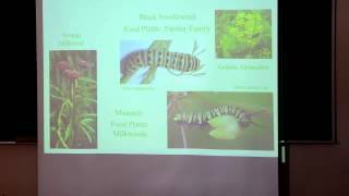 PCCI 14 - Attracting Butterflies with Native Plants - Ilse Gebhard