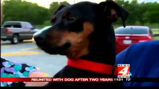Dog missing for two years reunited with family