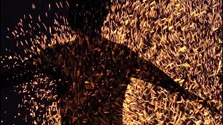 Piers Faccini - Firefly (Music Video)