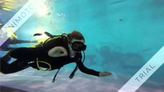 PADI Discover Scuba Diving.