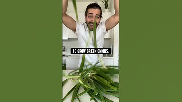How to Grow Never-Ending Green Onions | creative explained