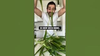 How to Grow Never-Ending Green Onions | creative explained