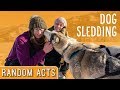 We Surprised Her with an Amazing Dog Sledding Adventure! - Random Acts