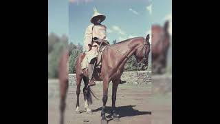 Download Lagu TSHEOLE NO4 [10 MONONO] MP3