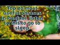 Learn Punjabi While Sleeping 2 Hours - Learn ALL Basic Phrases