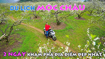DU LỊCH MỘC CHÂU TỰ TÚC 2 NGÀY | Kinh nghiệm Khám phá những Địa Điểm đẹp nhất Cao Nguyên Xanh
