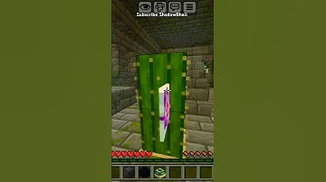Cactus 💀 #Shadowbhaii #short #shorts #minecraft #gaming #viral #popular #portal