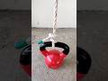 2 HALF HITCHES #viral #knot #rope #viralvideos #knot #knottutorial #shorts #knotying #fypシ゚viral