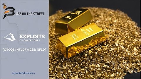 “Buzz on the Street” Show: Exploits Discovery Corp. (OTCQB: NFLDF) (CSE: NFLD) Dog Bay Claims