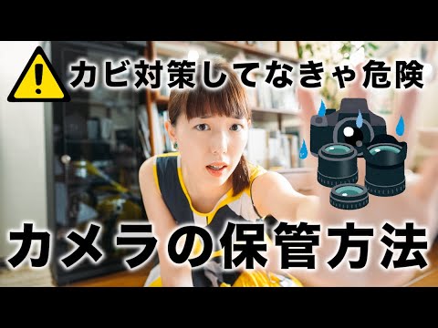 Canon - キャノン　オートボーイ D5 【防湿庫保管】 オートボーイ D5 - キヤノンカメラミュージアム