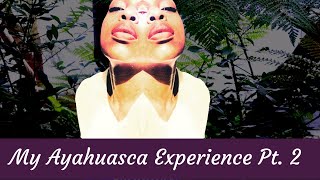 What Ayahuasca Taught Me Pt  2