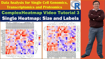 ComplexHeatmap Video Tutorial 3: Single Heatmap -- Size and Labels