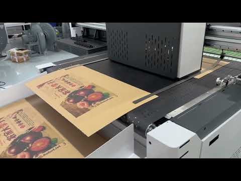 Single pass digital printer with variable data printing