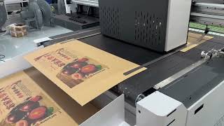 Single pass digital printer with variable data printing