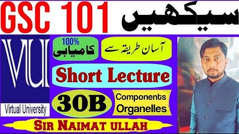 GSC101 Short Lecture 30B|Short Lecture 30|Cellular Component|Organelles|Virtual University|VU.