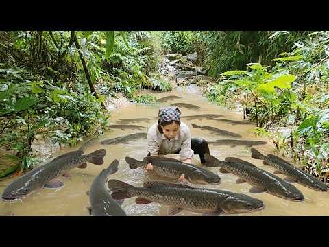 Meeting A Massive School Of Giant Fish At The Hidden Mountain Water ...