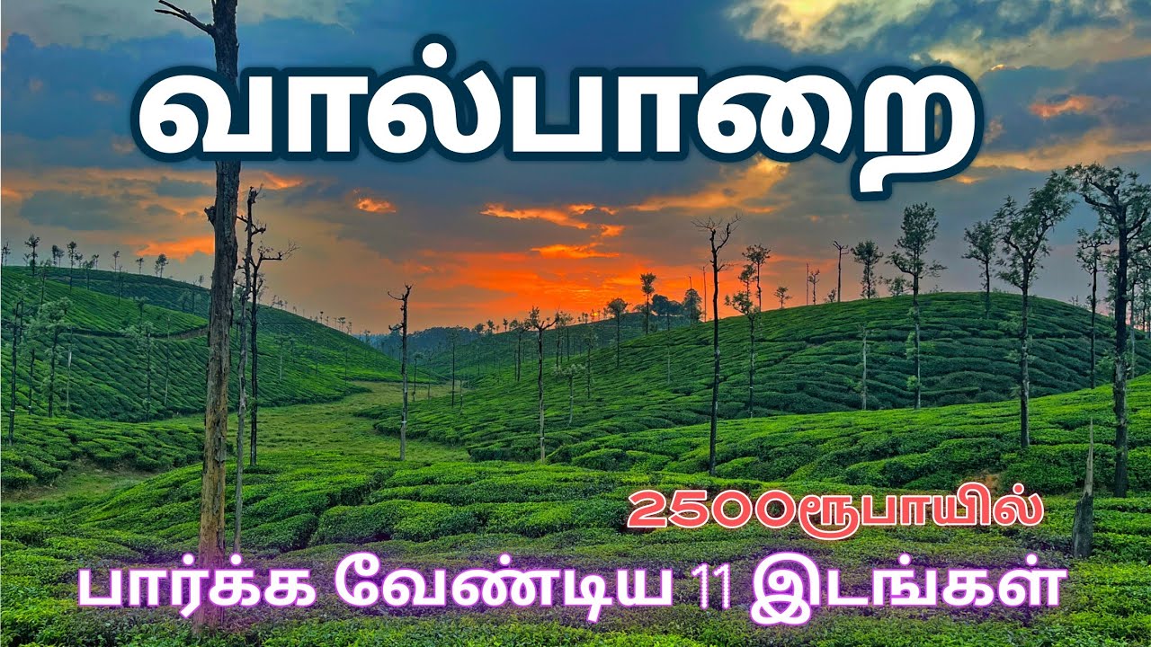 வால்பாறை சுற்றிப்பார்க்க 11 இடங்கள்/ ரூபாய் 2500 இல்