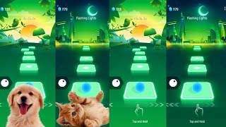 Tiles hop EDM Rush   Brown dog vs Cute cat on Ball Games channel