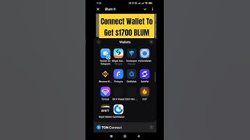 Blum wallet connect 🔥💵| Today