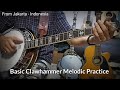 Banjo basic clawhammer melodic style practice