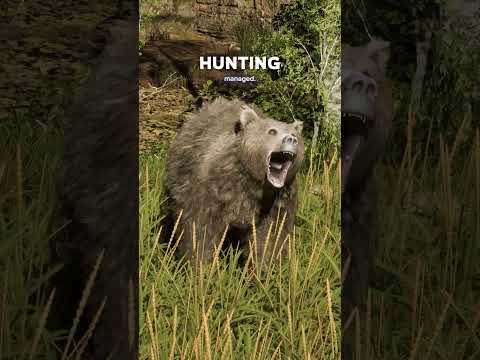The hunt isn’t always in your favor. 🐺